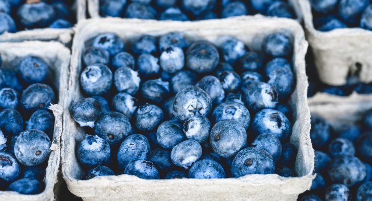 A punnet of blueberries
